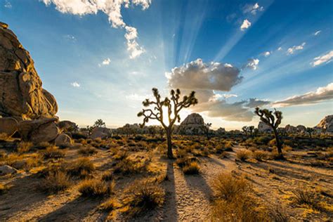 What Is The Youngest National Park In Us?