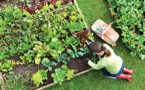 What month is too late to start a garden?