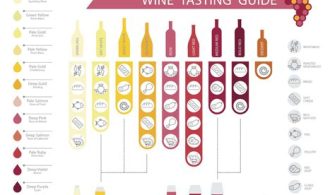 What Order Should A Wine Tasting Go?