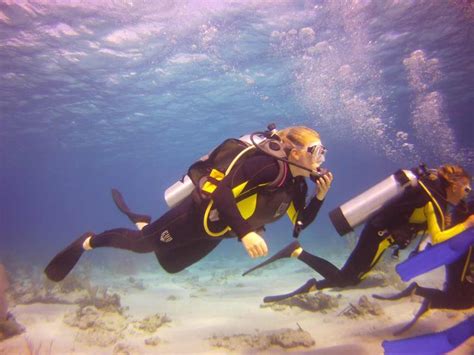 What part of Florida has the best scuba diving?