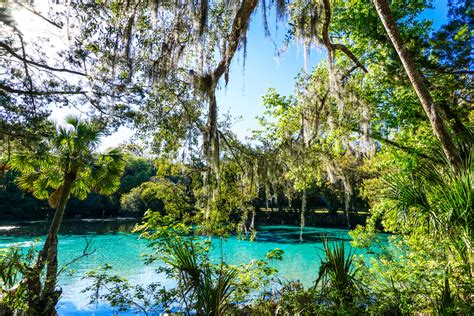 What Part Of Florida Has The Bluest Water?