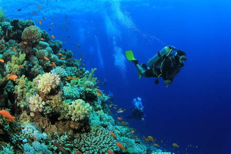 What state has the best scuba diving?