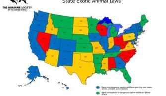 What State Has The Loosest Exotic Animal Laws?