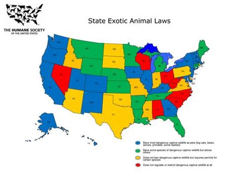 What state has the loosest exotic animal laws?