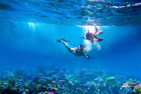 What tide is best for snorkeling?