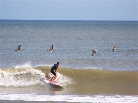 When can you surf in Florida?