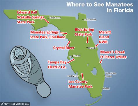 Where are manatees found in Florida?