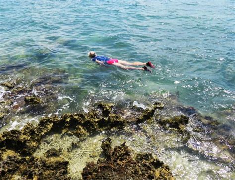 Where can you snorkel in the Florida Keys without a boat?