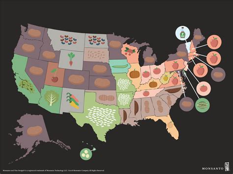 Where Does Most US Food Come From?