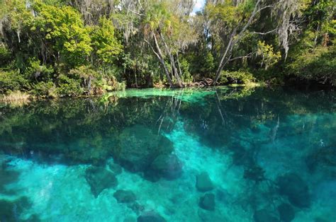 Where Is Rainbow Springs?