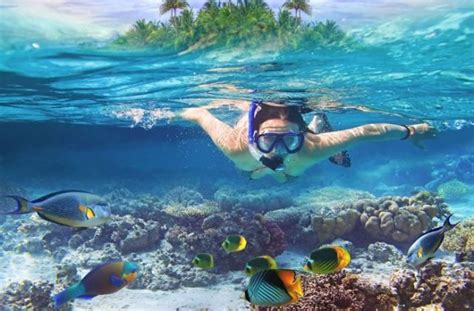 Where is the best place for snorkelling?