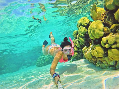 Where is the best snorkeling in the world?