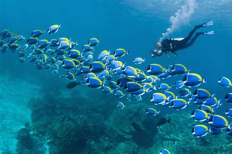 Where is the clearest water in the world to scuba dive?