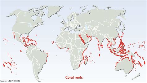 Where is the healthiest coral reef in the world?