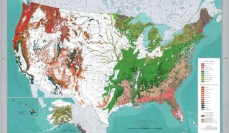 Where Is The Only Tropical Forest In The United States?