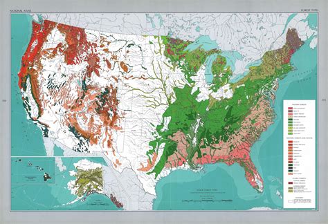 Where Is The Only Tropical Forest In The United States?