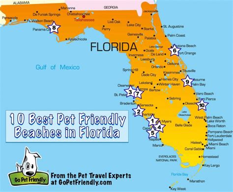 Which Side Of Florida Is Better To Visit?