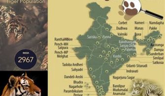 Which State Has Highest Number Of Tiger Reserve?