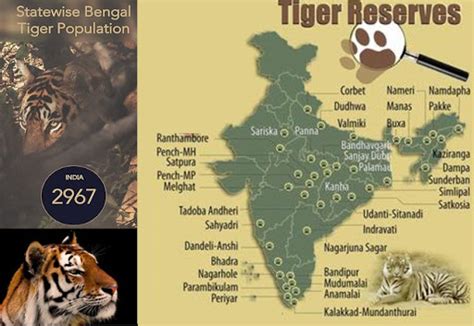 Which state has highest number of tiger reserve?