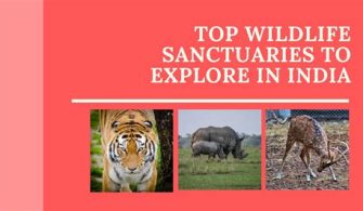 Which State Has Highest Wildlife Sanctuaries?