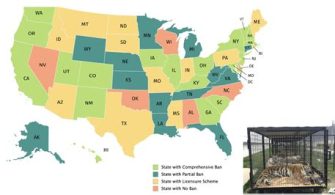 Which States Allow Pet Tigers?