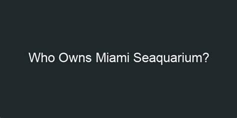 Who owns Miami Watersports?