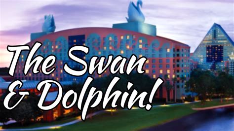 Who owns Swan Miami?