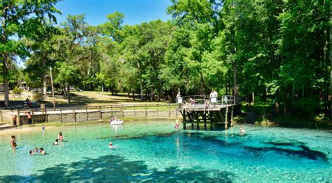 Why are Florida springs so clear?