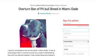 Why Are Pitbulls Banned In Dade County?