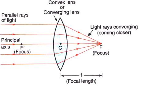 Why are the Rays called the Rays?