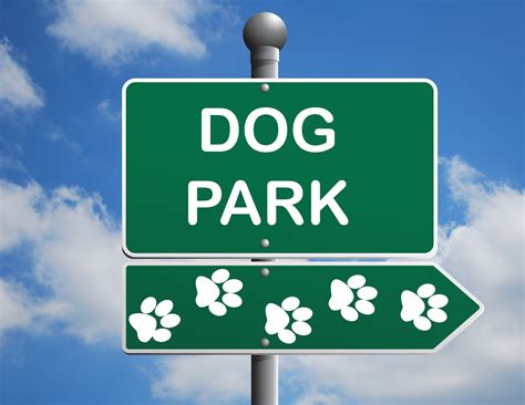 Why I avoid dog parks?