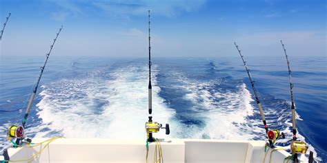 Why Is Deep Sea Fishing So Expensive?