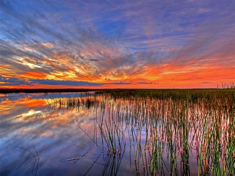 Why Should I Visit Everglades National Park?