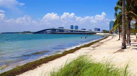 Why Visit Key Biscayne?